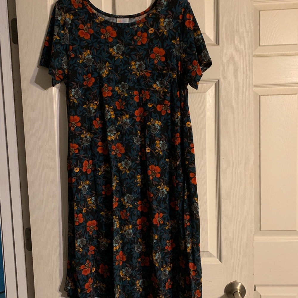 Lularoe medium Carly dress
